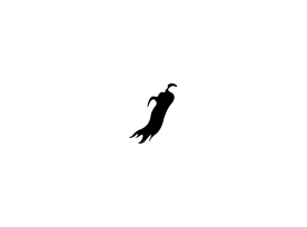 药剂学